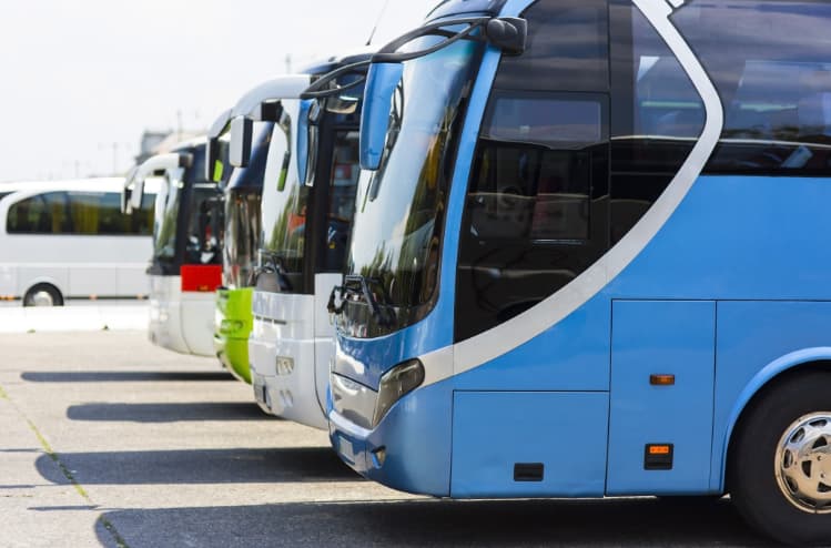 a lineup of charter buses in a parking lot